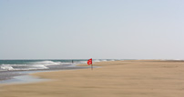 Kitesurfen auf Fuerteventura